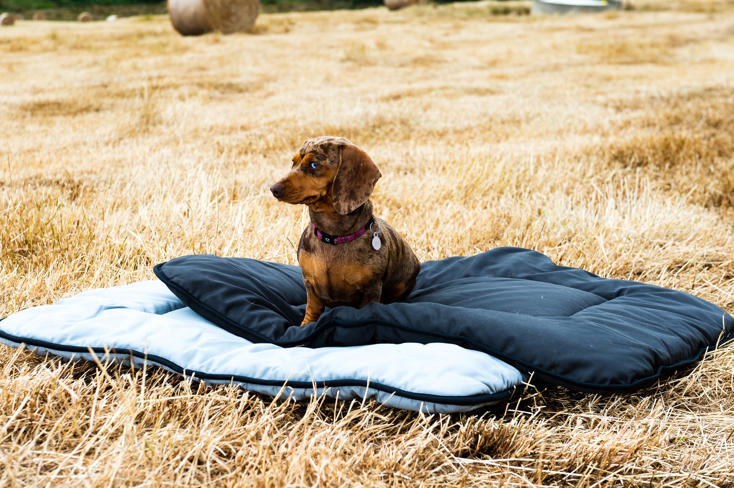 Pure Wool Washable Pet Beds