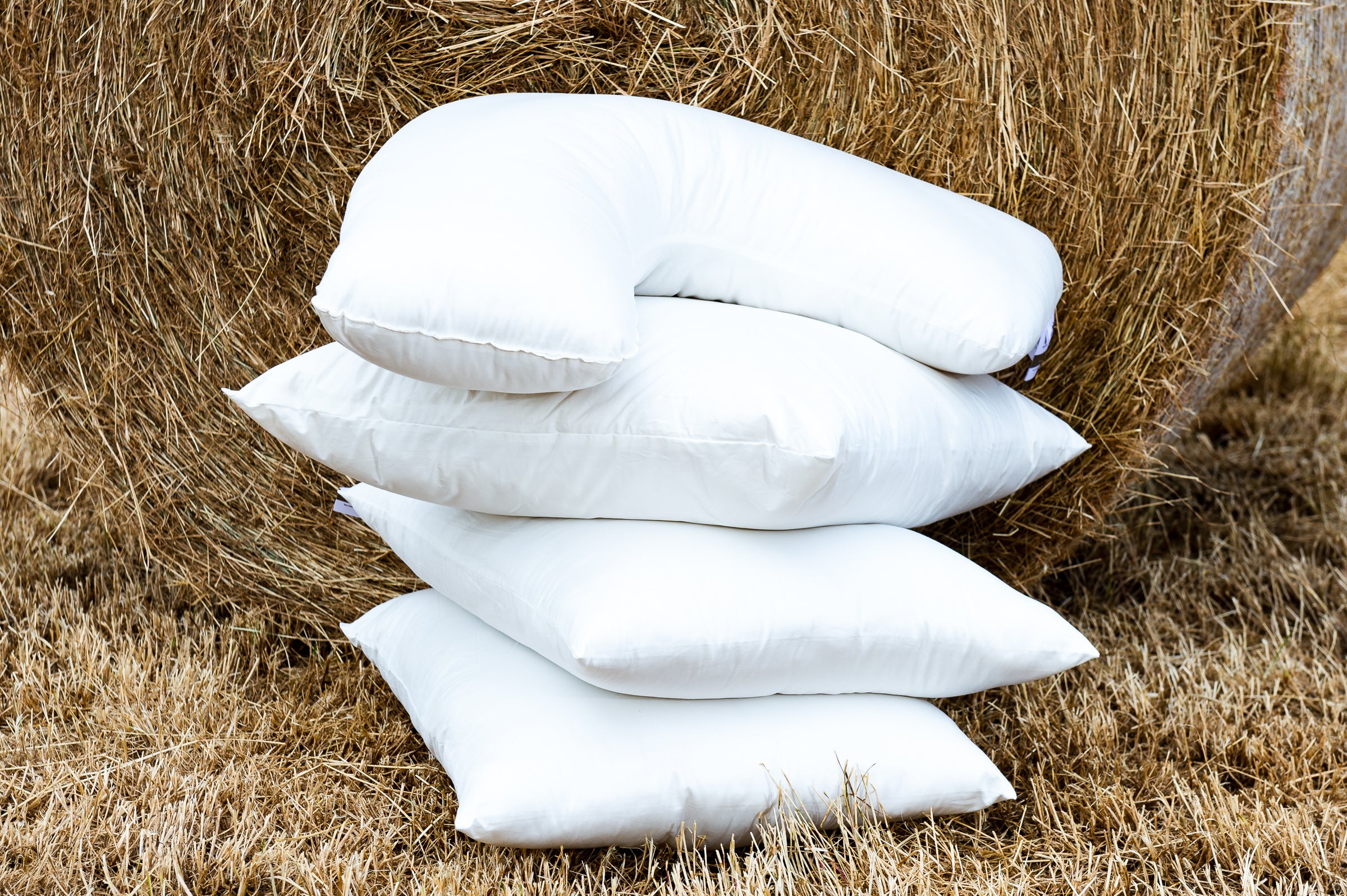 Pure Australian Wool Pillows