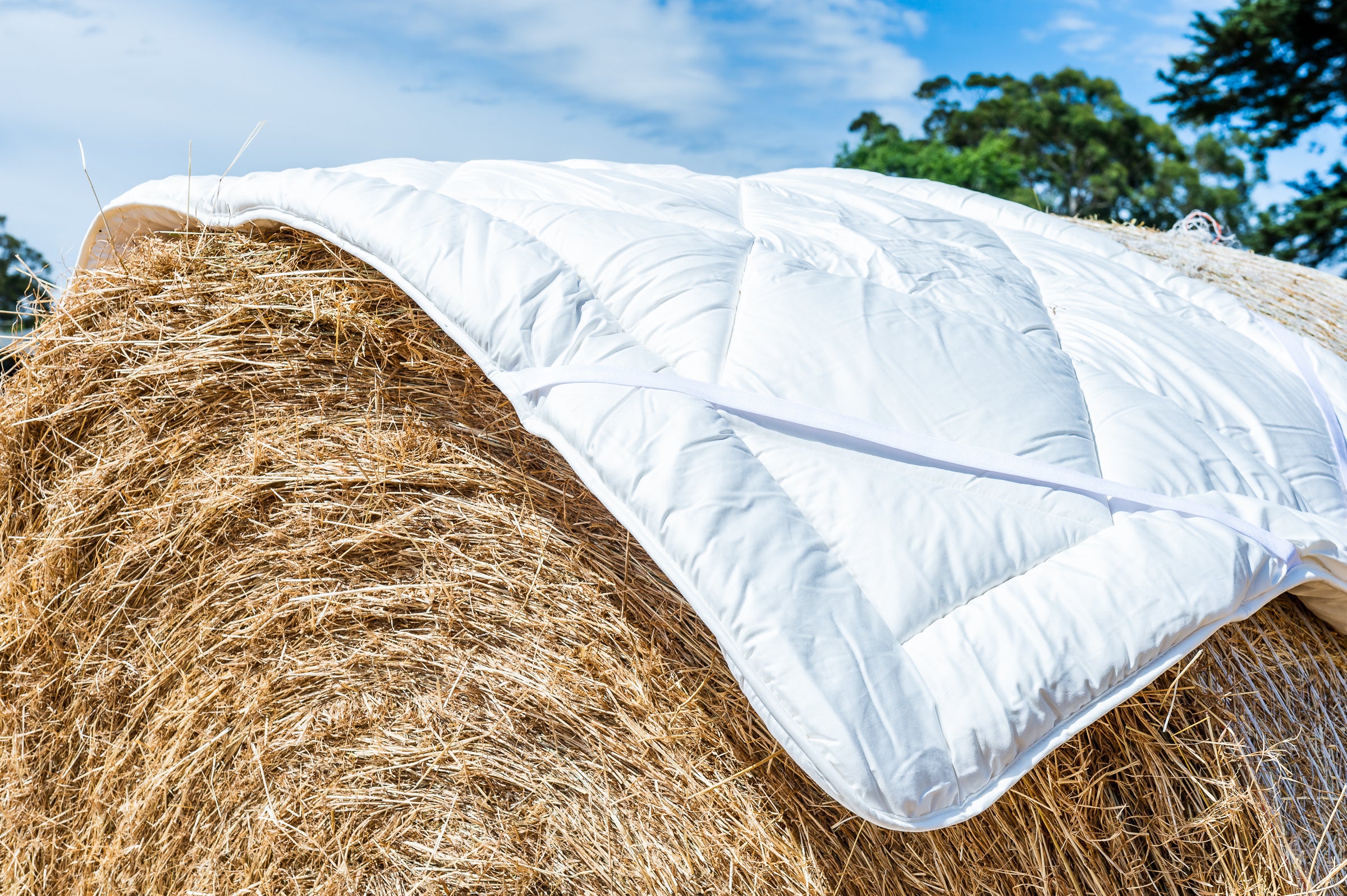 Pure Australian Wool Under Blankets