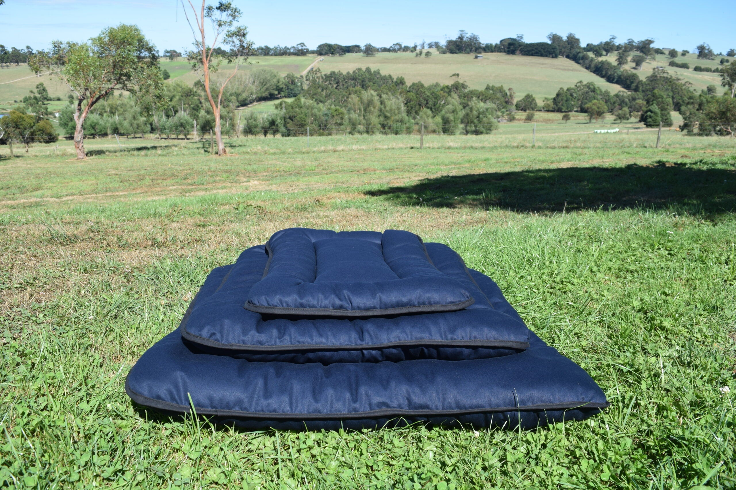 Pure Wool Washable Pet Beds - Small 45cm x 45cm / Navy