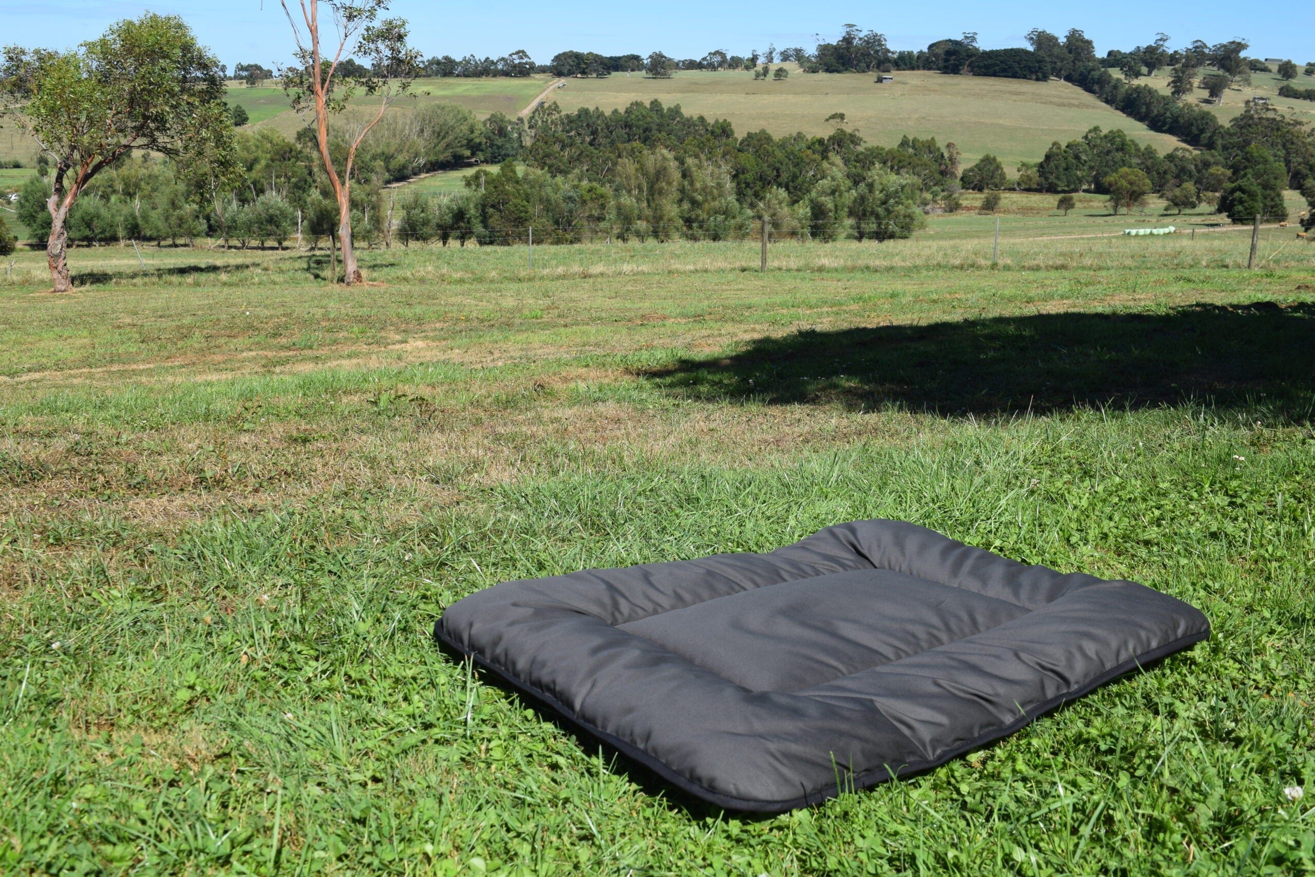 Pure Wool Washable Pet Beds