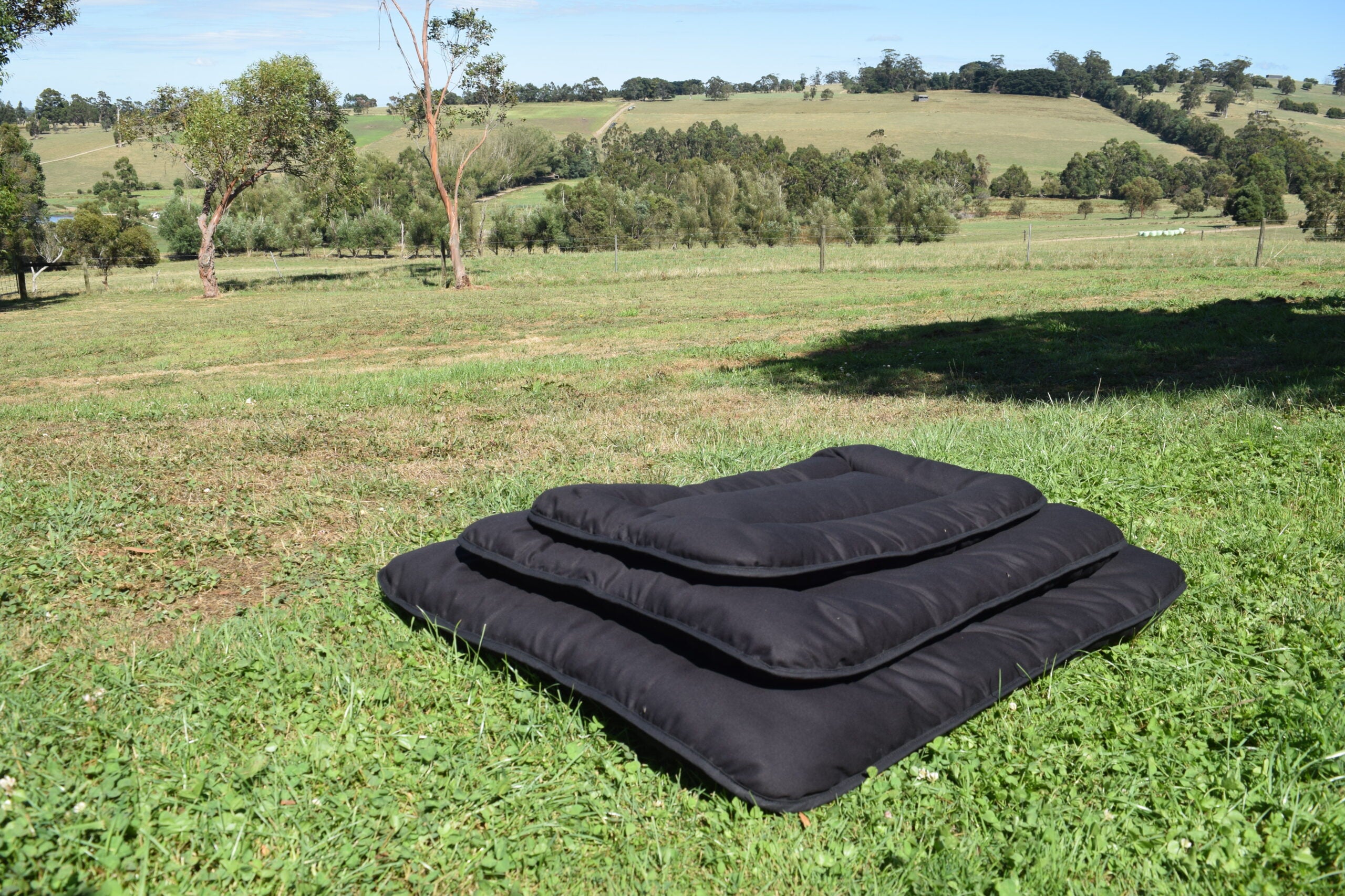 Pure Wool Washable Pet Beds - Small 45cm x 45cm / Black