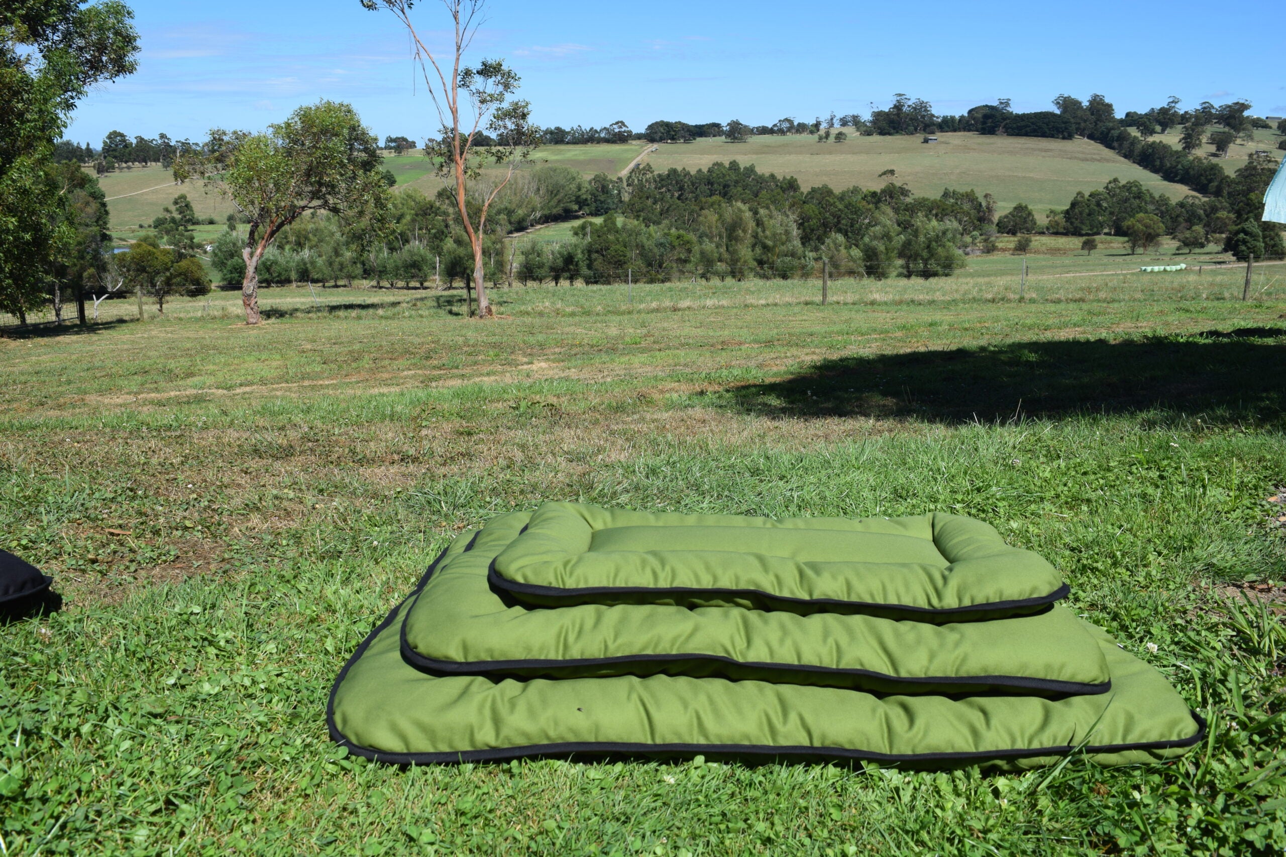 Pure Wool Washable Pet Beds - Small 45cm x 45cm / Military Green