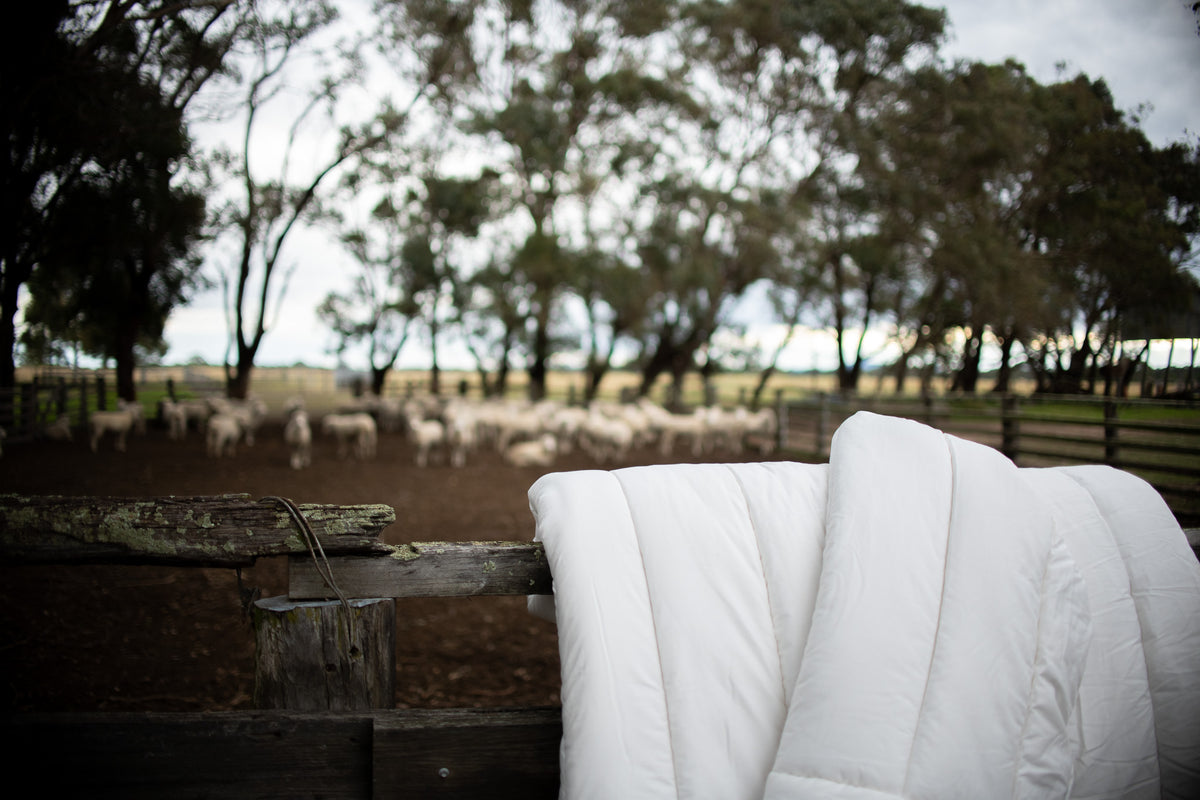 Pure Australian Wool Quilts/Doonas/Duvets | 100% Allergy Free | Aussie ...